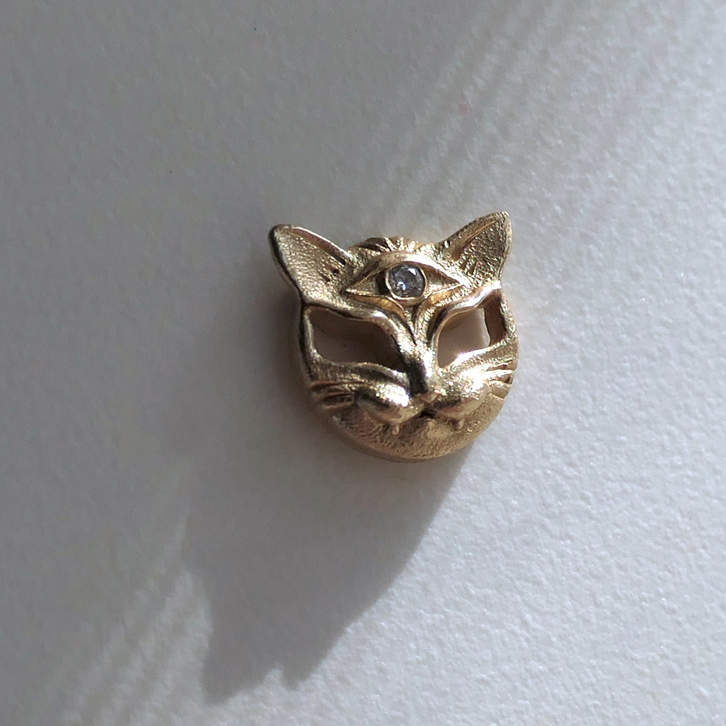 Seer Cat Stud