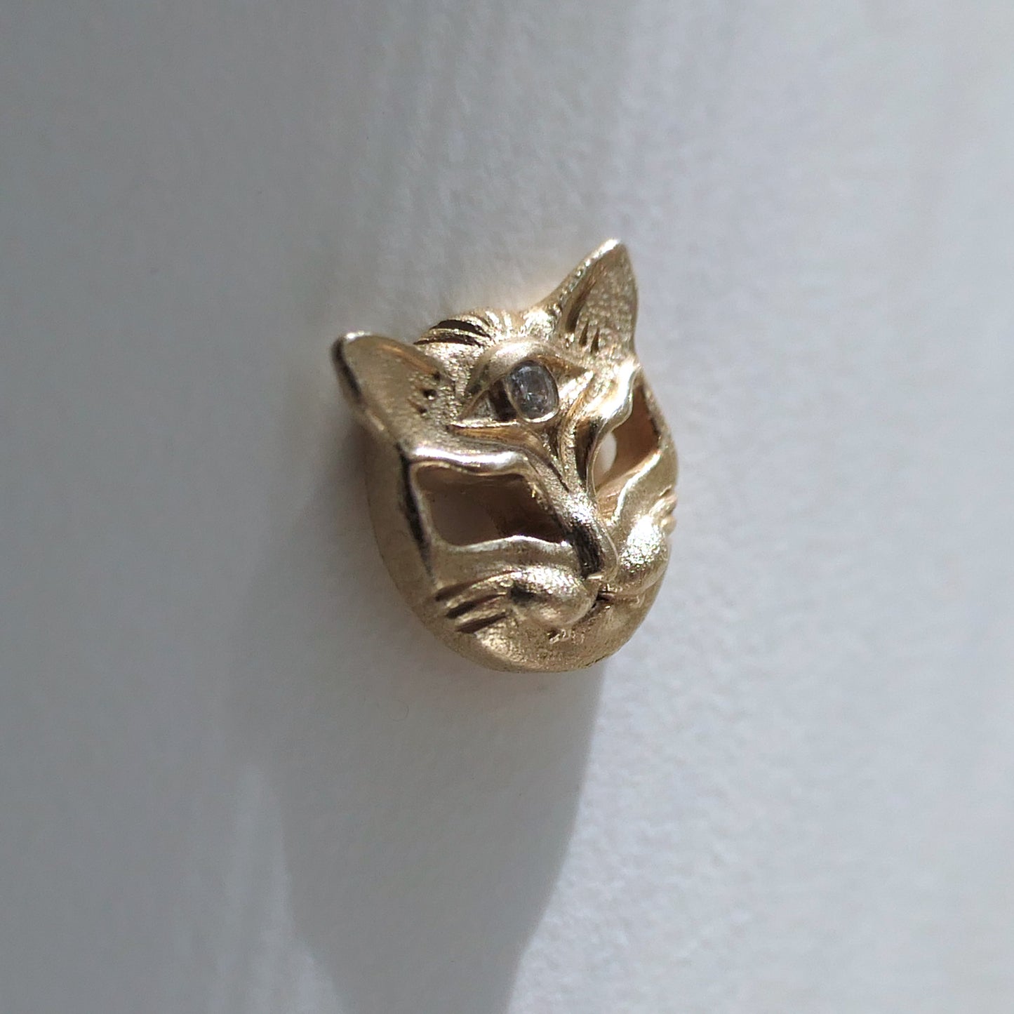 Seer Cat Stud