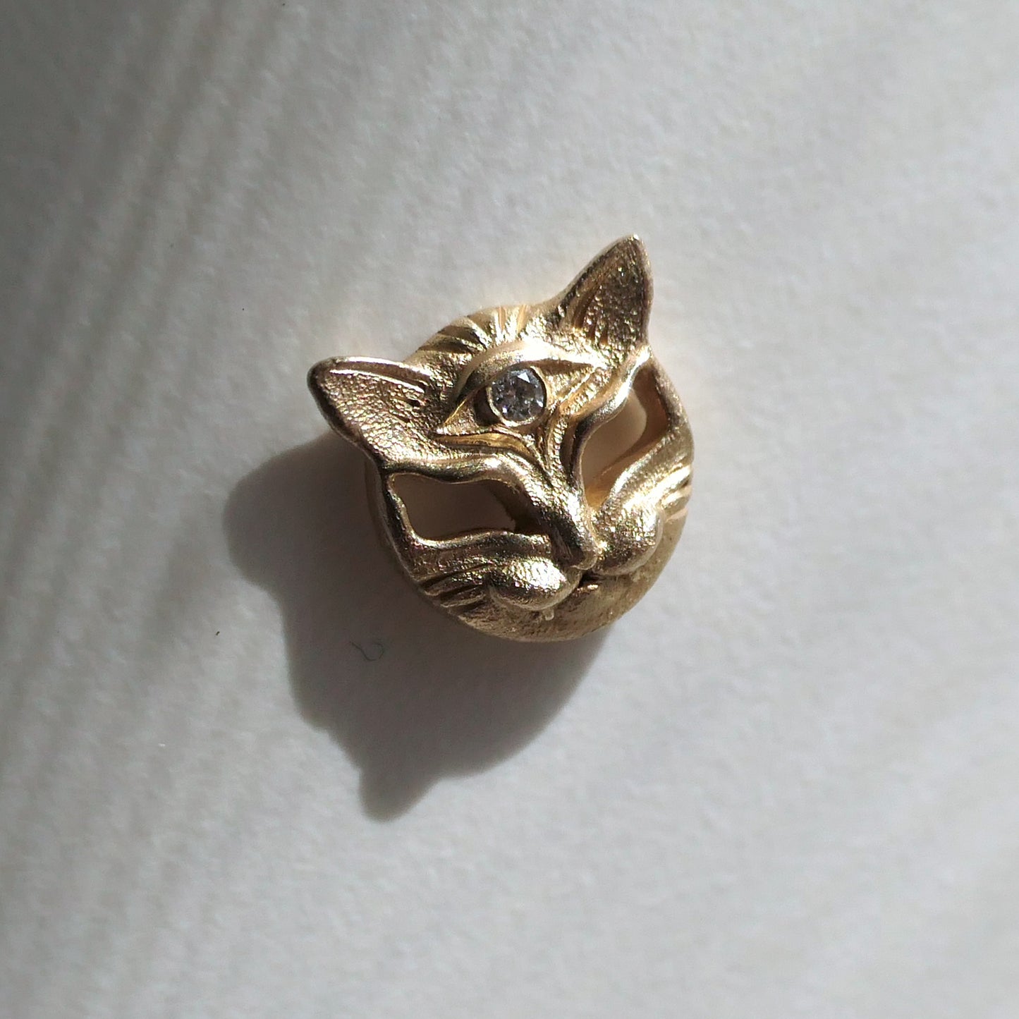Seer Cat Stud