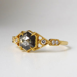 Casia Vestra Ring with Salt and Pepper Diamond